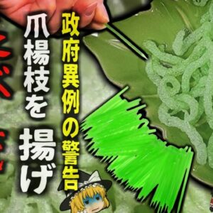 【2024年】『爪楊枝を揚げて食べる？！』韓国で奇妙な行為が流行　政府が異例の警告を行う事態に【ゆっくり解説】