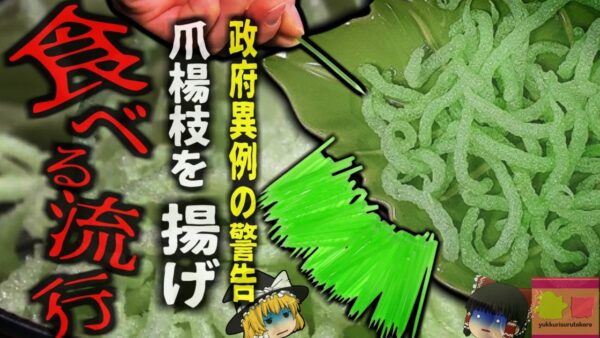 【2024年】『爪楊枝を揚げて食べる？！』韓国で奇妙な行為が流行　政府が異例の警告を行う事態に【ゆっくり解説】