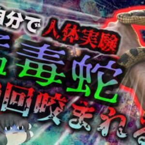 【2025年】『猛毒蛇で人体実験』自ら毒蛇に咬まれ700回以上毒を注射した男性 抗体を獲得し万能解毒剤開発へ【ゆっくり解説】