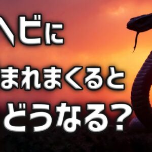 【無敵】毒ヘビに856回噛まれて最強に！？沖縄でジュゴン再発見！潮干狩りで思わぬトラブル…？【生き物ニュース】