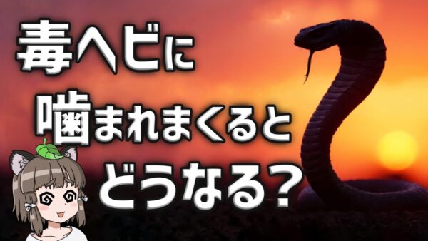 【無敵】毒ヘビに856回噛まれて最強に！？沖縄でジュゴン再発見！潮干狩りで思わぬトラブル…？【生き物ニュース】