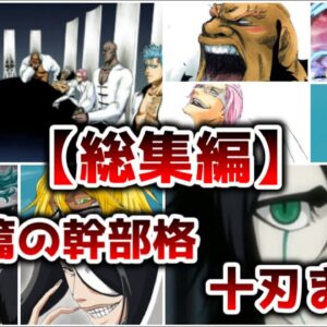 【総集編】破面篇の幹部格 十刃まとめ【ゆっくり解説】【BLEACH】
