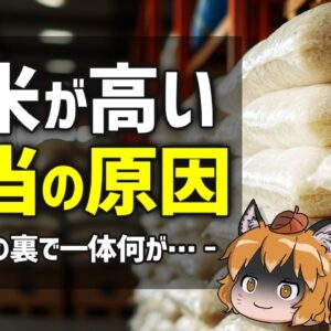 【黒幕】お米が高い原因はまさかの…JAが解体されたら価格はどうなる？