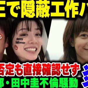 田中圭＆永野芽郁　LINEが流出。隠蔽工作や事務所へ虚偽報告を画策していた模様。流出させたのは誰だ……？【ゆっくり解説】