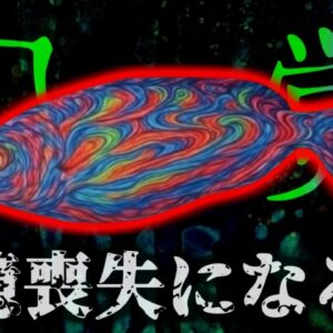 『食べると幻覚を見て記憶消失する魚』別名「ドリーム・フィッシュ」の異名を持つ不思議な魚 食べて激しい幻覚・幻聴・奇行走る事例が報告…何故魚にLSDのような効果が？【ゆっくり解説】きめぇ丸解説