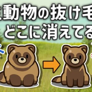 【疑問】野生動物の大量の抜け毛はどこに消えているのか？