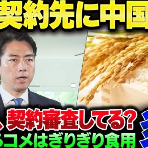 備蓄米、家畜用の古古古米だった模様。なお随意契約をした企業の一つが明らかにペーパーカンパニーの中国企業だった【ゆっくり解説】