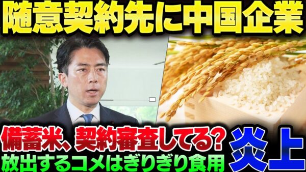 備蓄米、家畜用の古古古米だった模様。なお随意契約をした企業の一つが明らかにペーパーカンパニーの中国企業だった【ゆっくり解説】