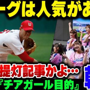 韓国野球は人気！とかまた提灯記事書いた人が失笑される【ゆっくり解説】