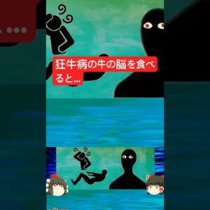 『脳がスポンジになる禁断の食材』　加熱してもほぼ不活性化されない恐ろしい感染症 「変異型クロイツフェルト・ヤコブ病」【ゆっくり解説】きめぇ丸解説　 #ゆっくり解説　#狂牛病　#感染症