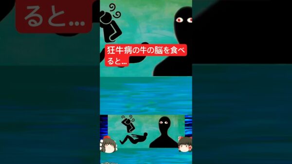 『脳がスポンジになる禁断の食材』　加熱してもほぼ不活性化されない恐ろしい感染症 「変異型クロイツフェルト・ヤコブ病」【ゆっくり解説】きめぇ丸解説　 #ゆっくり解説　#狂牛病　#感染症