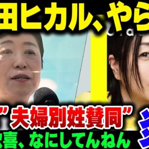 宇多田ヒカル、新曲に下手すぎる夫婦別姓主張カマして大炎上してしまう【ゆっくり解説】