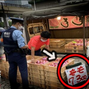 『高級果物がなぜ安い？』駅前などで軽トラ販売している激安フルーツの正体は？ブランド果物がなぜそんなに安く売っているのか【ゆっくり解説】