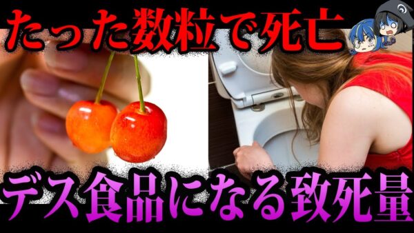 【ゆっくり解説】数粒食べただけで●亡！？身近な食べ物の致死量６選
