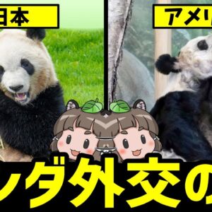 【異変】パンダ外交の闇…日本とアメリカでなぜ差が出てしまうのか？