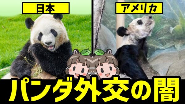 【異変】パンダ外交の闇…日本とアメリカでなぜ差が出てしまうのか？