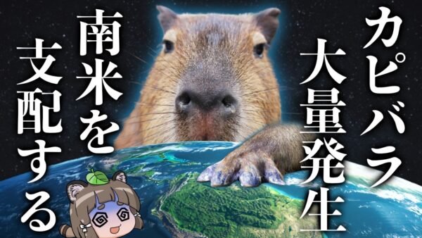 【激闘】なぜ今、南米でカピバラが大暴れしているのか…？