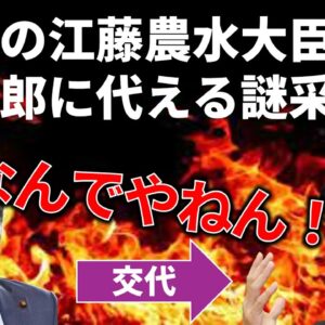 農水大臣の後任がまさかの小泉進次郎だった件…＆なぜコメ価格が上がったのかを解説