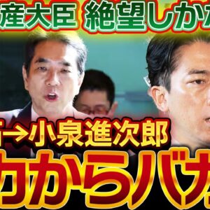 農林水産大臣、バカからバカになる。江藤拓も小泉進次郎もかわらんて【ゆっくり解説】