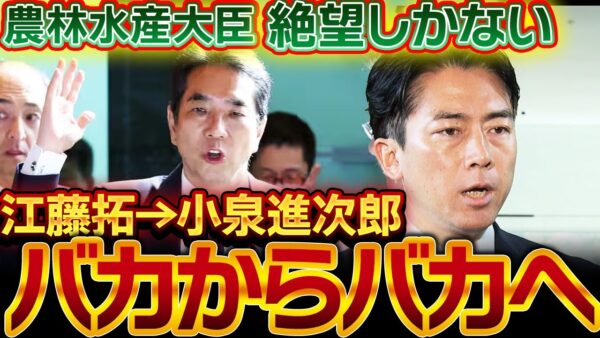 農林水産大臣、バカからバカになる。江藤拓も小泉進次郎もかわらんて【ゆっくり解説】