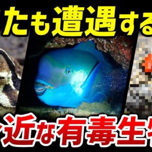 【危険】あなたも遭遇するかも…日本にいるヤバい毒持ち生物10選