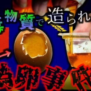 【2012年】中国で『本物そっくりの石膏卵流通』偽卵が流通し政府が注意喚起　職人が手作りで一日1500個を生産？！偽卵製造方法ツアーも・・・【ゆっくり解説】