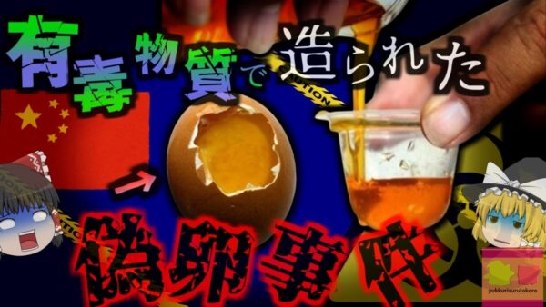 【2012年】中国で『本物そっくりの石膏卵流通』偽卵が流通し政府が注意喚起　職人が手作りで一日1500個を生産？！偽卵製造方法ツアーも・・・【ゆっくり解説】