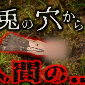 【2015年】『ウサギの穴で絶命』散歩客が発見した「穴から出る足」…何故そんなところで？【ゆっくり解説】