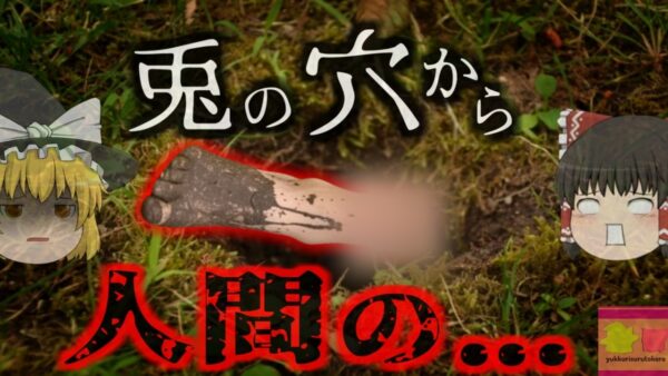 【2015年】『ウサギの穴で絶命』散歩客が発見した「穴から出る足」…何故そんなところで？【ゆっくり解説】