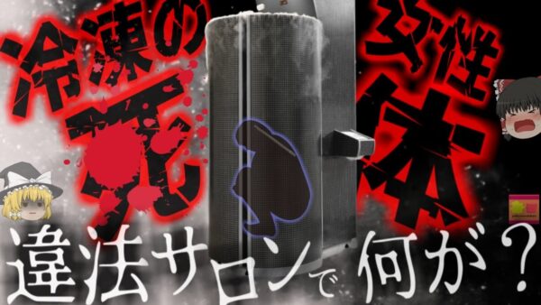 【2015年】『違法サロンの装置から冷凍遺体』ラスベガスの寒冷療法装置で冷凍状態になった女性…何故彼女はこんなところで凍っていた？【ゆっくり解説】