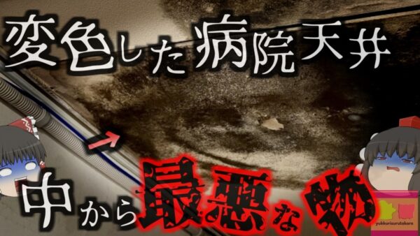 【2019年】『病院の天井にドロドロの腐った人間』突然行方不明になった入院患者 徹底的に探しても見つからず…14日後に天井裏から遺体となって発見　何故そんな場所に？【ゆっくり解説】きめぇ丸