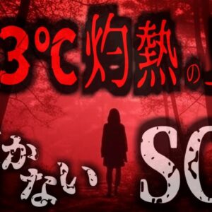 【2021年】『ハイキングコースに謎の遺体』一組の親子に飼い犬まで？行方不明になった家族は何故こんな場所で亡くなっていたのか。原因は有毒藻類かと思われたが…【ゆっくり解説】