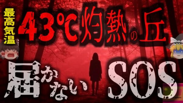 【2021年】『ハイキングコースに謎の遺体』一組の親子に飼い犬まで？行方不明になった家族は何故こんな場所で亡くなっていたのか。原因は有毒藻類かと思われたが…【ゆっくり解説】