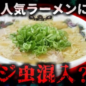 【2025年】客『チャーシューの上にウジ虫が動いている』人気ラーメン店で異物混入？利用者が動画をSNSに投稿し大きな騒動に 何故こんなことに？【ゆっくり解説】