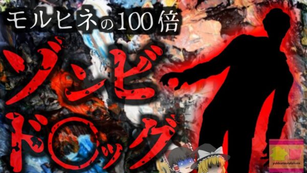 『ゾンビになる薬』フェンタニルに汚染されたカナダ 中毒者が道端に横たわる世紀末状態に…約5万人が命を落とす現状【ゆっくり解説】