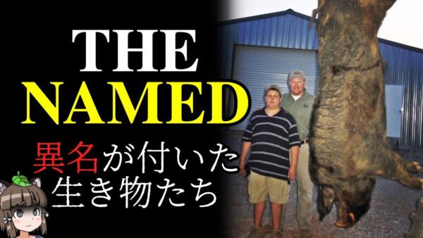 【異名】ヤバすぎて