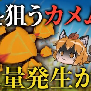 【勘弁して】お米を狙う害虫カメムシ、60年ぶりの大量発生か…？