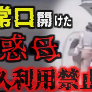 『究極のDQN母親』勝手に飛行機の非常口を開け翼上を散歩…航空会社ブチギレ永久立ち入り禁止に。1500万円以上の罰金の可能性も その身勝手な理由とは【ゆっくり解説】