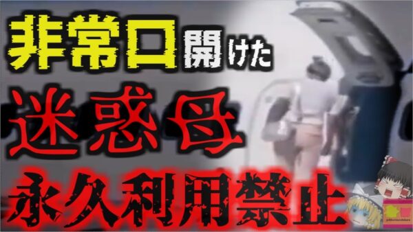 『究極のDQN母親』勝手に飛行機の非常口を開け翼上を散歩…航空会社ブチギレ永久立ち入り禁止に。1500万円以上の罰金の可能性も その身勝手な理由とは【ゆっくり解説】