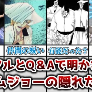 【ゆっくり解説】王に固執する理由が判明！？ Q＆Aとリバソルで明かされたグリムジョーの隠れた一面を徹底解説【BLEACH】