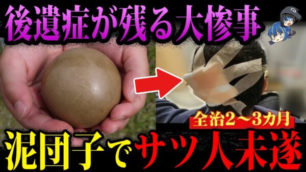 【ゆっくり解説】泥団子でサツ人未遂！？本当にあったありえないものが凶器になった事件