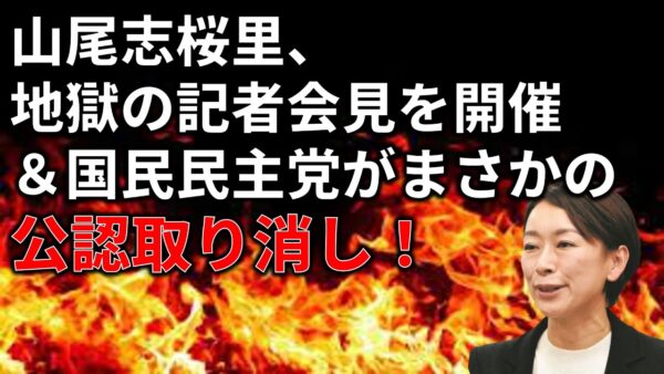 国民民主党が山尾志桜里の公認取り消しをした件について…
