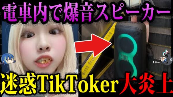 【ゆっくり解説】目立つために迷惑行為。非常識すぎて炎上した奴ら