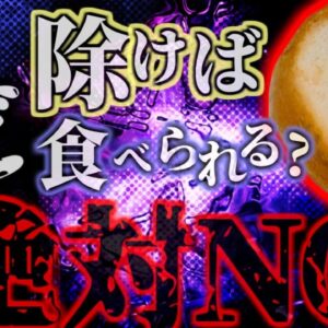 『カビ生えても取り除けば大丈夫』は間違い。パンに発生しやすい真菌 目立つ部分を取り除いて食べる行為は重大な健康リスク有り。 見えない部分にも実は…【ゆっくり解説】