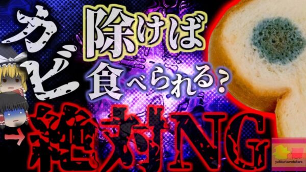 『カビ生えても取り除けば大丈夫』は間違い。パンに発生しやすい真菌 目立つ部分を取り除いて食べる行為は重大な健康リスク有り。 見えない部分にも実は…【ゆっくり解説】