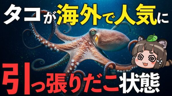 【え？】タコが世界で引っ張りだこ！？たこ焼きが消えるかもしれません…