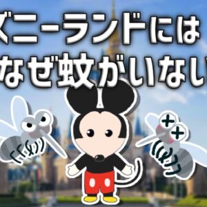 【疑問】なぜディズニーランドには蚊がいないのか？