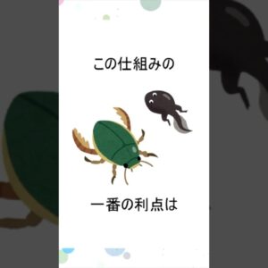 注目している環境保全の取り組みはありますか？