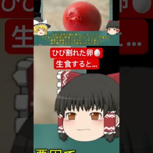 卵のひび割れに気付かず生食し女児が死亡…実はかなり気をつけなければいけない卵の保管方法　#ゆっくり解説 #食中毒 #サルモネラ菌