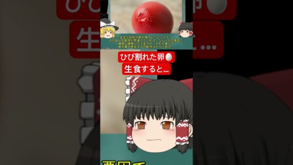 卵のひび割れに気付かず生食し女児が死亡…実はかなり気をつけなければいけない卵の保管方法　#ゆっくり解説 #食中毒 #サルモネラ菌
